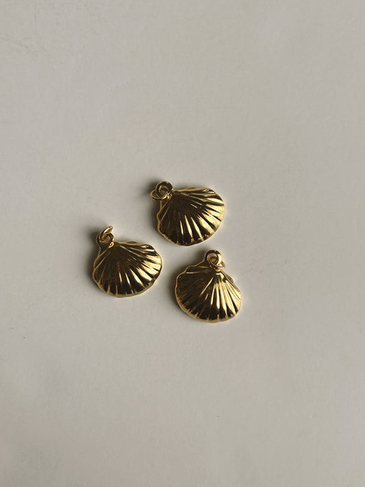 Sea Shell