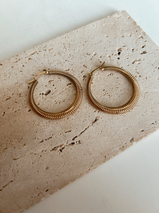 Kim Hoops Earrings